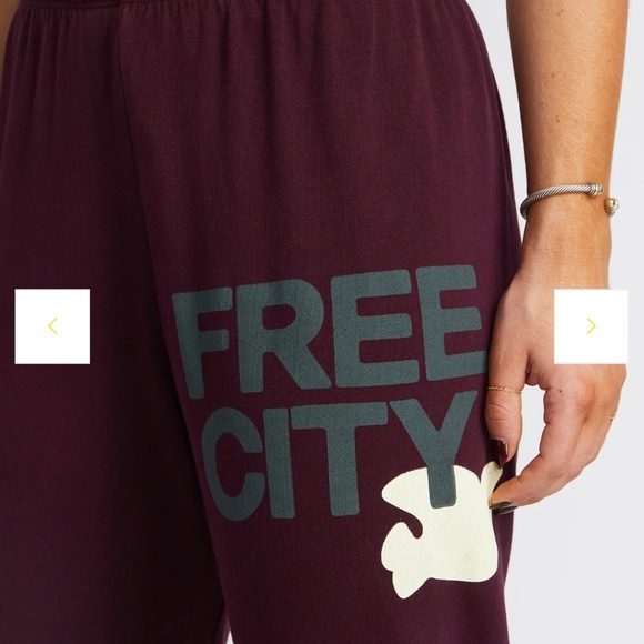 Free City Coffee Color Large Logo Pants Size XS - Picture 2 of 10